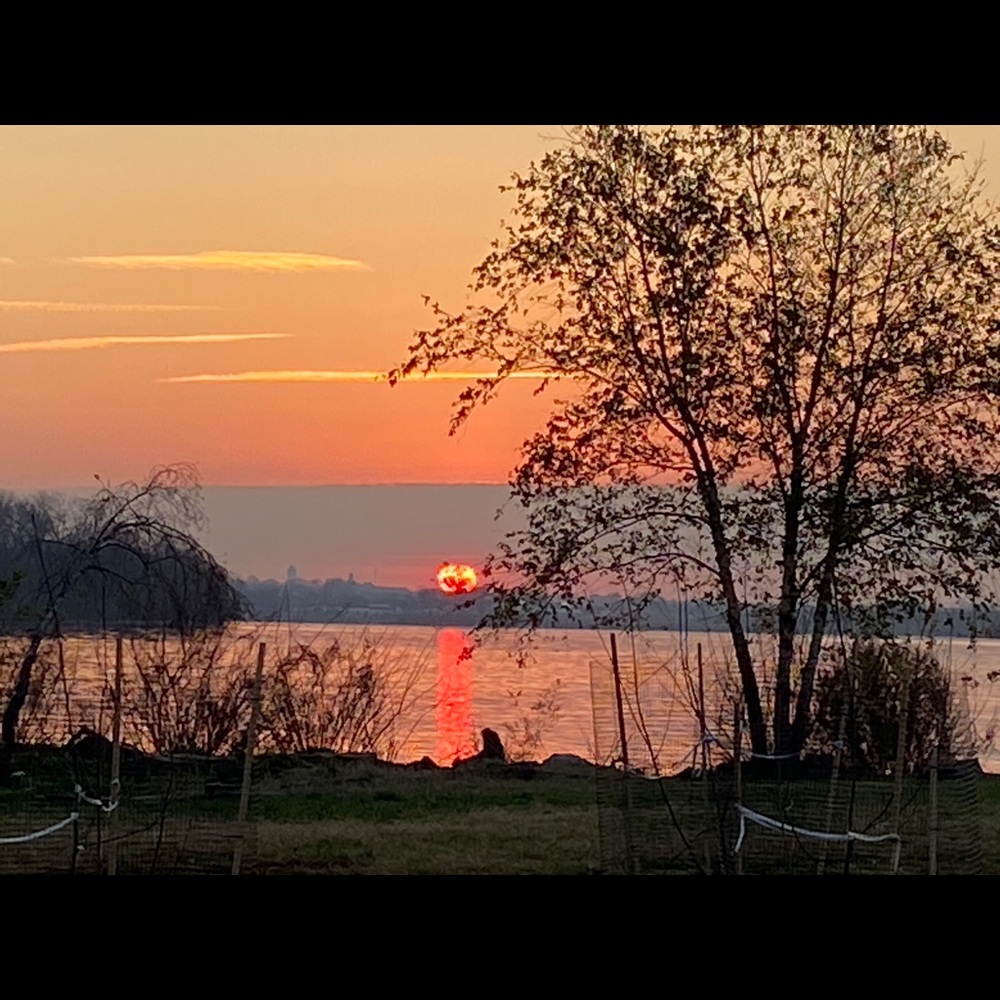Meet your Posher, Sheryl